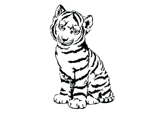 600x450 Printable Tiger Coloring Pages Printable Baby Tiger Coloring Pages