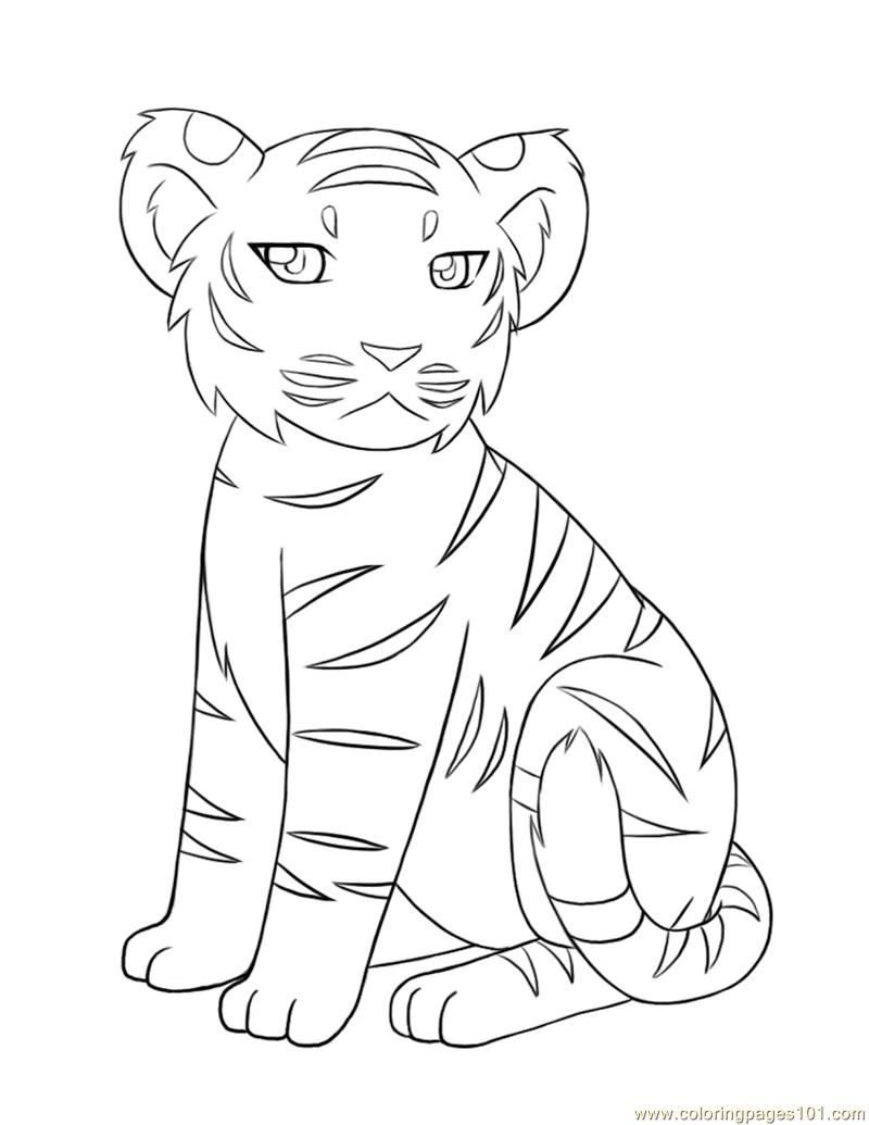 800x1035 Revisited Coloring Pages Of Baby Tigers Tiger