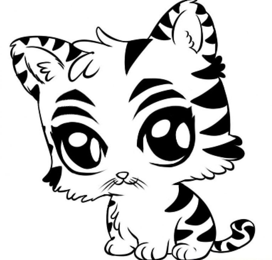 902x864 Tiger Coloring Page Cute Cub Pages Cartoon Baby For Kids White