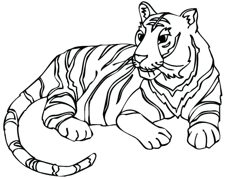 755x600 White Tiger Coloring Pages Tiger Coloring Book Pages Coloring Page
