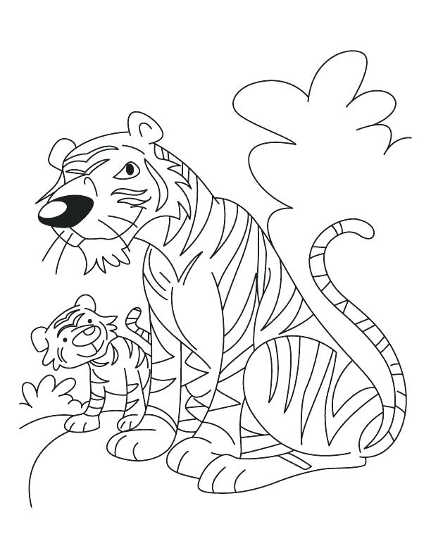 612x792 White Tiger Coloring Pages