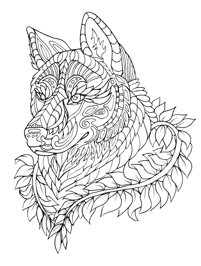 700x923 Wolf Coloring Pictures Wolves Pages Printable Full Baby Wolf