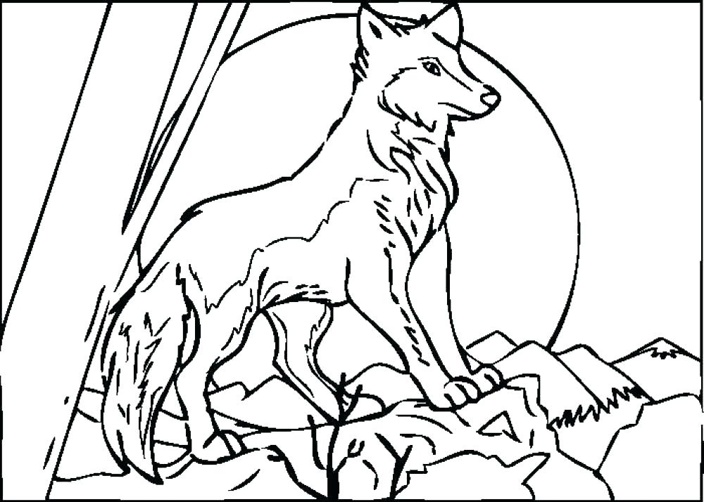 1000x713 Coloring Pages Of Wolves Wolf Coloring Pages Printable Baby Wolf