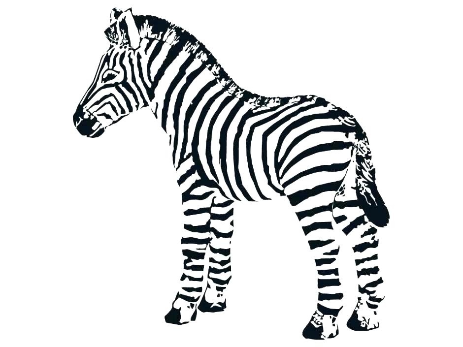 940x705 Zebra Coloring Pages Coloring Pictures Of Zebras Coloring Page