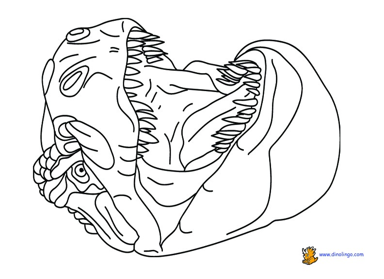 792x576 Free Printable Dinosaur Coloring Pages Beautiful Brooke