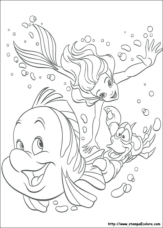 567x794 Sebastian Coloring Pages Spider Crab Coloring Pages Ariel