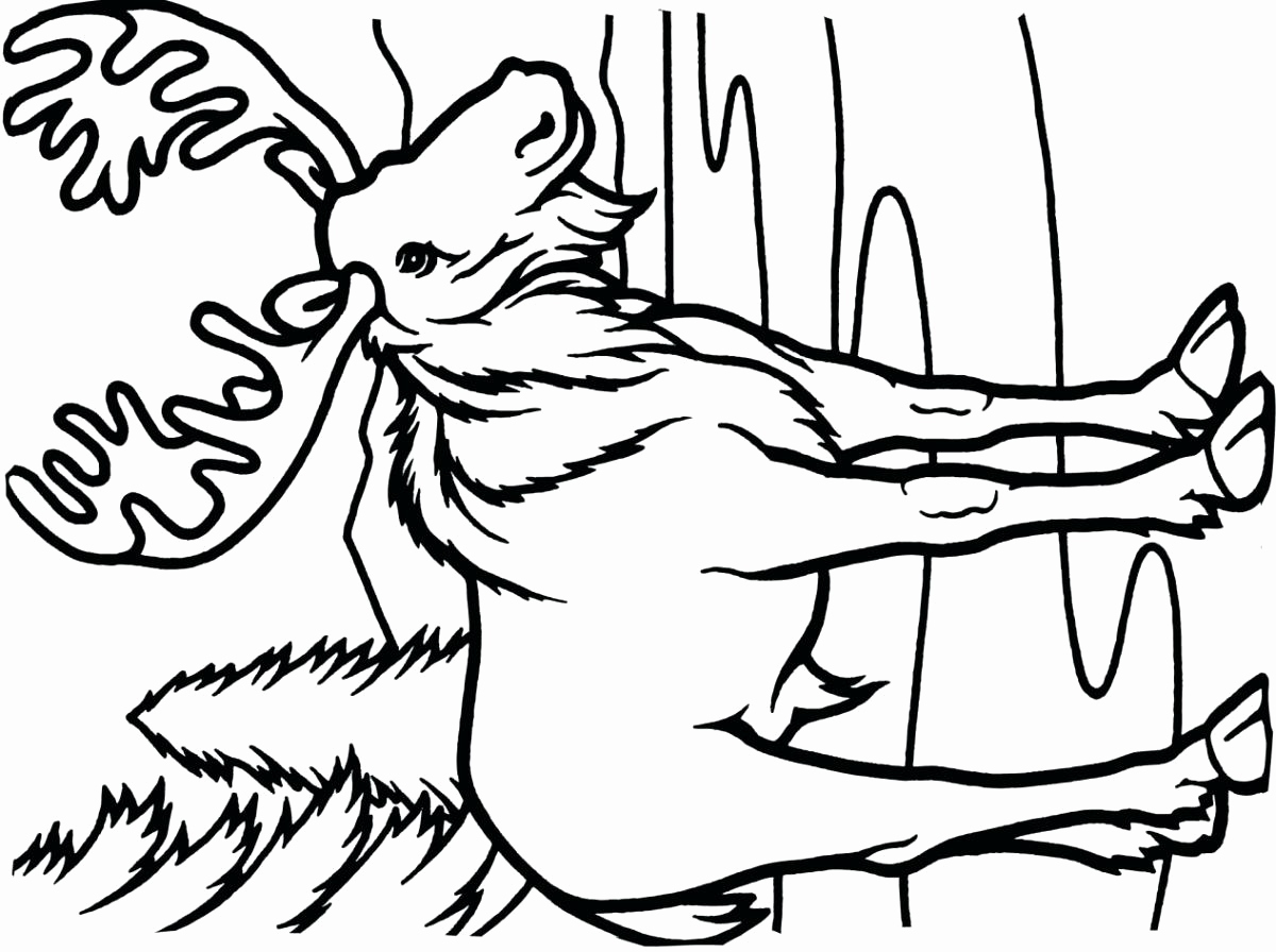 1200x896 Back To School Coloring Pages For First Grade Awesome First School