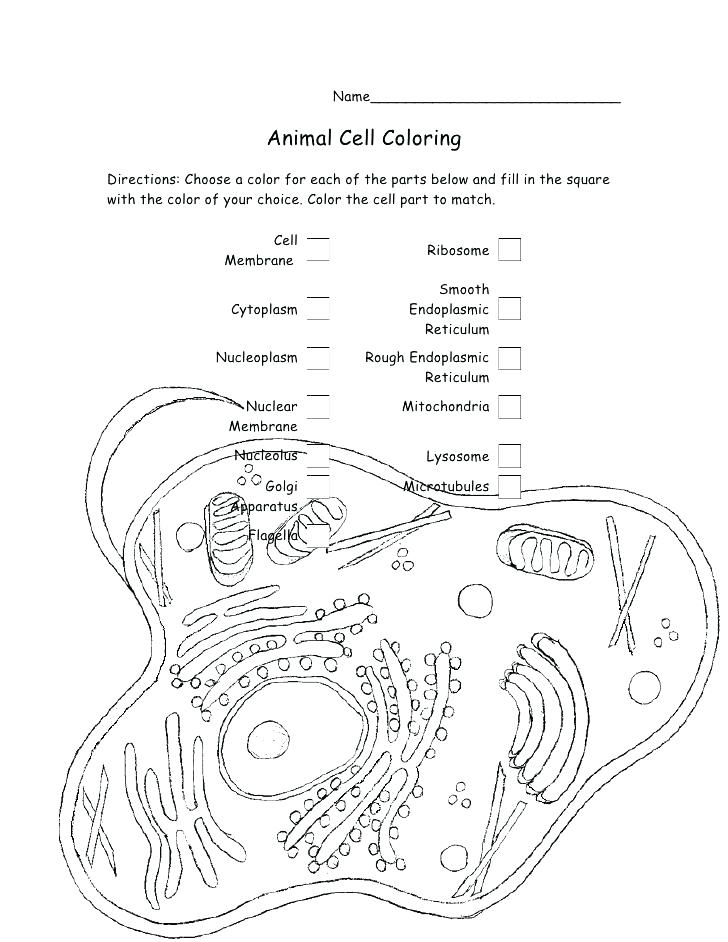 728x942 Bacteria Coloring Pages Germ Coloring Pages Coloring Page Coloring