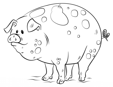 480x369 Chic And Creative Coloring Pages Pig Piglet Pigeon Piggy Bank Pigs