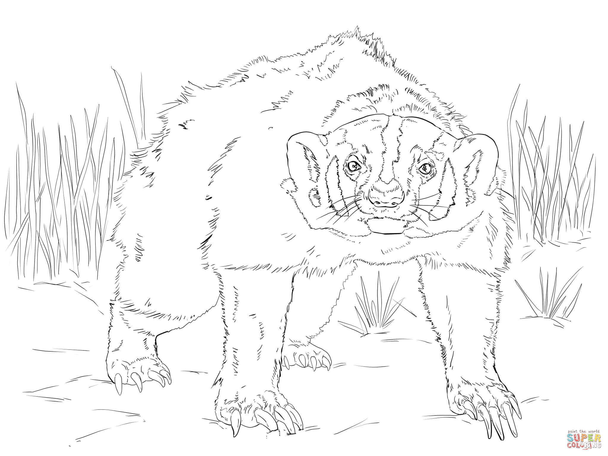 2048x1536 Launching Honey Badger Coloring Page American