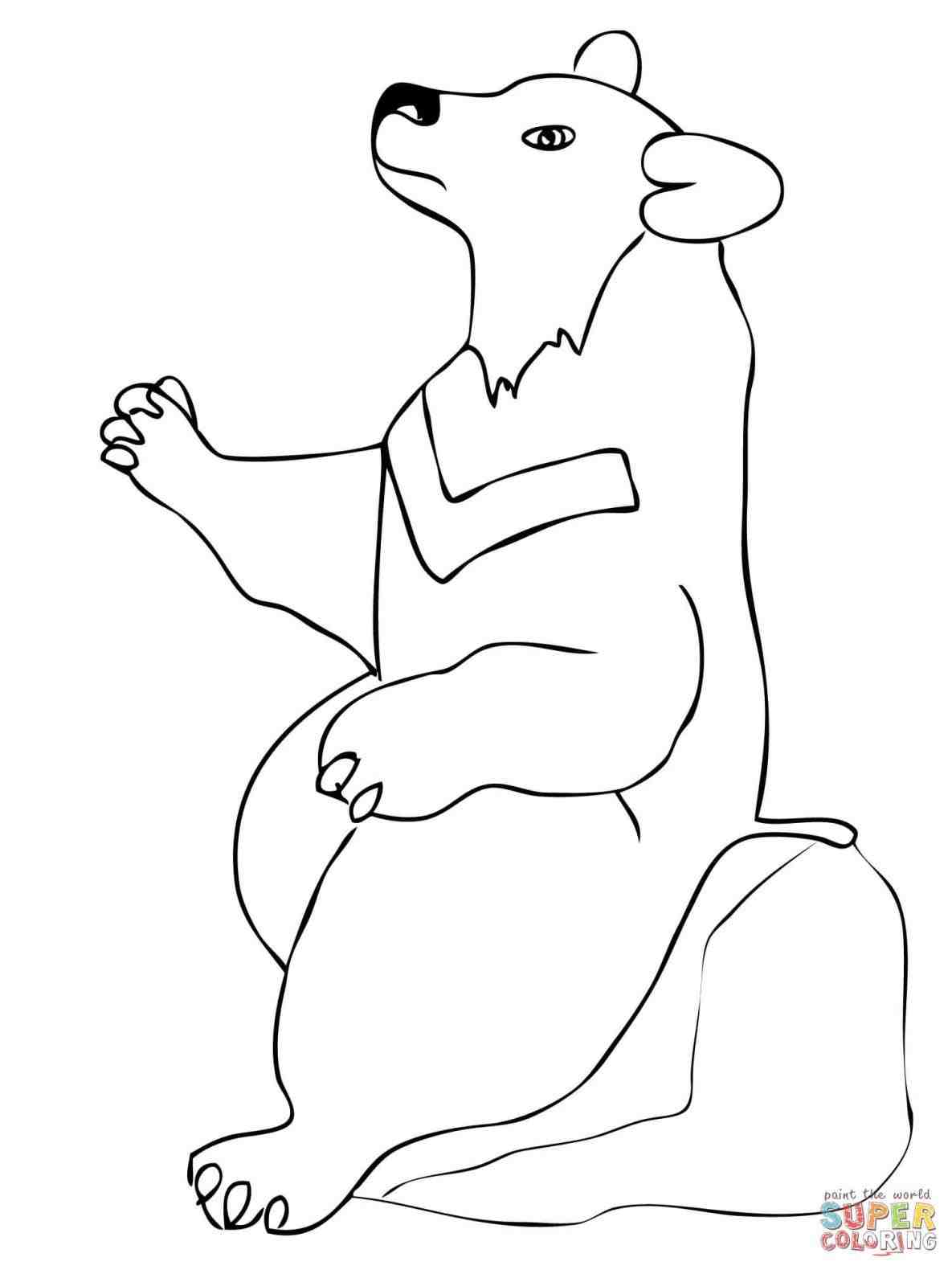 1185x1580 Suddenly Honey Badger Coloring Page Web Pages