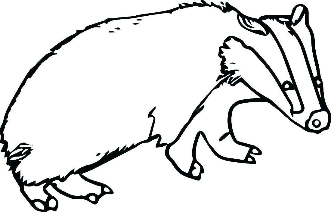1100x704 Badger Coloring Page