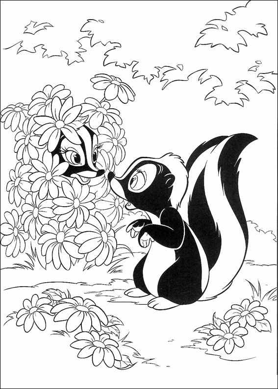 567x794 Animal Badgers Coloring Page