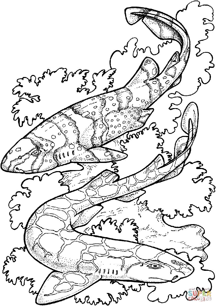 850x1200 Zebra Shark Coloring Pages Adult Coloring