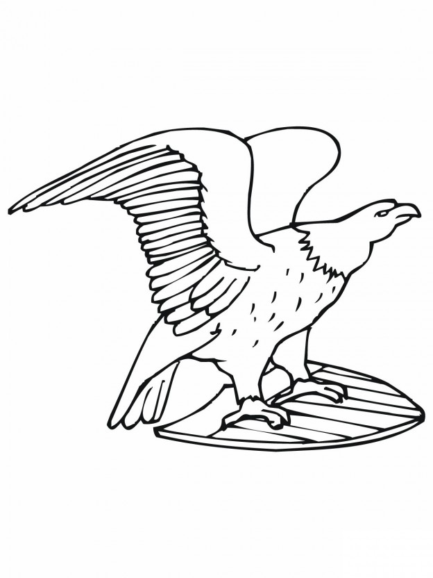 624x832 Eagle Coloring Pages Beautiful Free Eagle Coloring Pages Coloring
