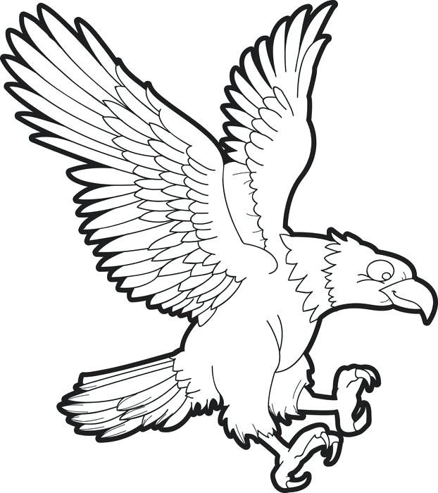 622x700 Eagle Color Page Printable Bald Eagle Coloring Page For Kids Free