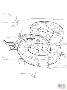 The best free Python coloring page images. Download from 61 free ...