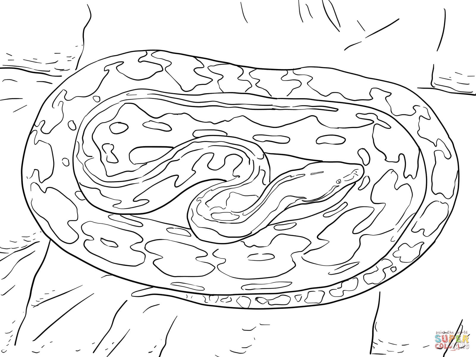 1600x1200 Fresh Ball Python Coloring Pages Free Coloring Pages Download