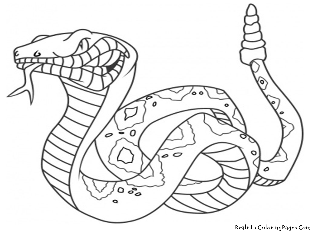 1024x768 Fresh Rattlesnake Coloring Page Design Printable Coloring Sheet