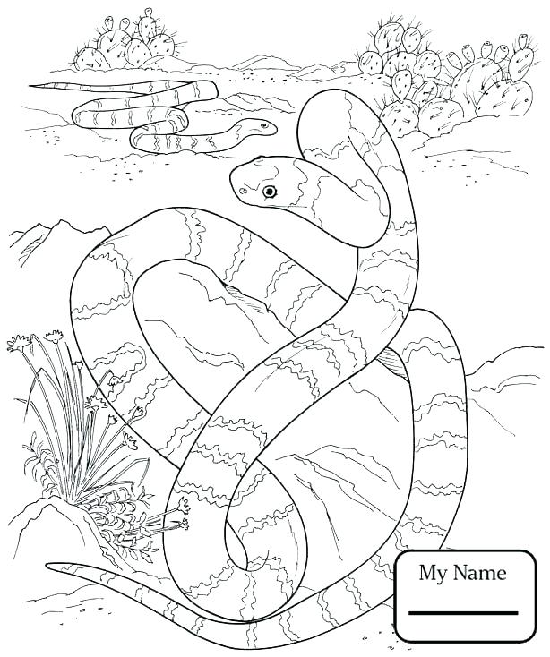 614x734 Snake Coloring Pages For Kids Coloring Pages Collection