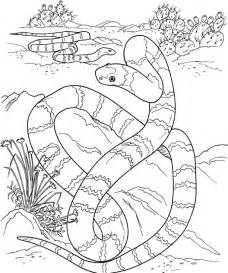 228x273 The Ball Python Coloring Pages To View Printable Version Or Color