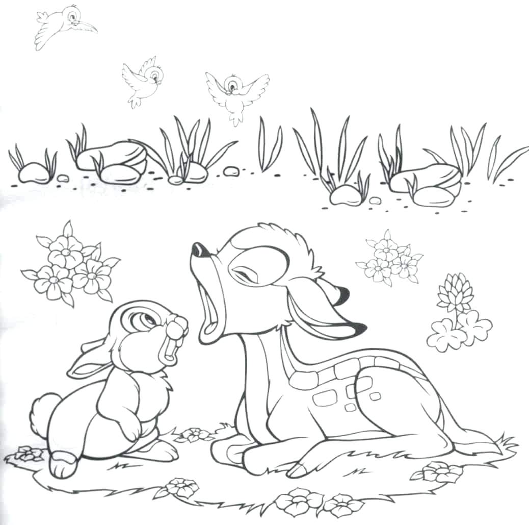1038x1029 Bambi Coloring Pages