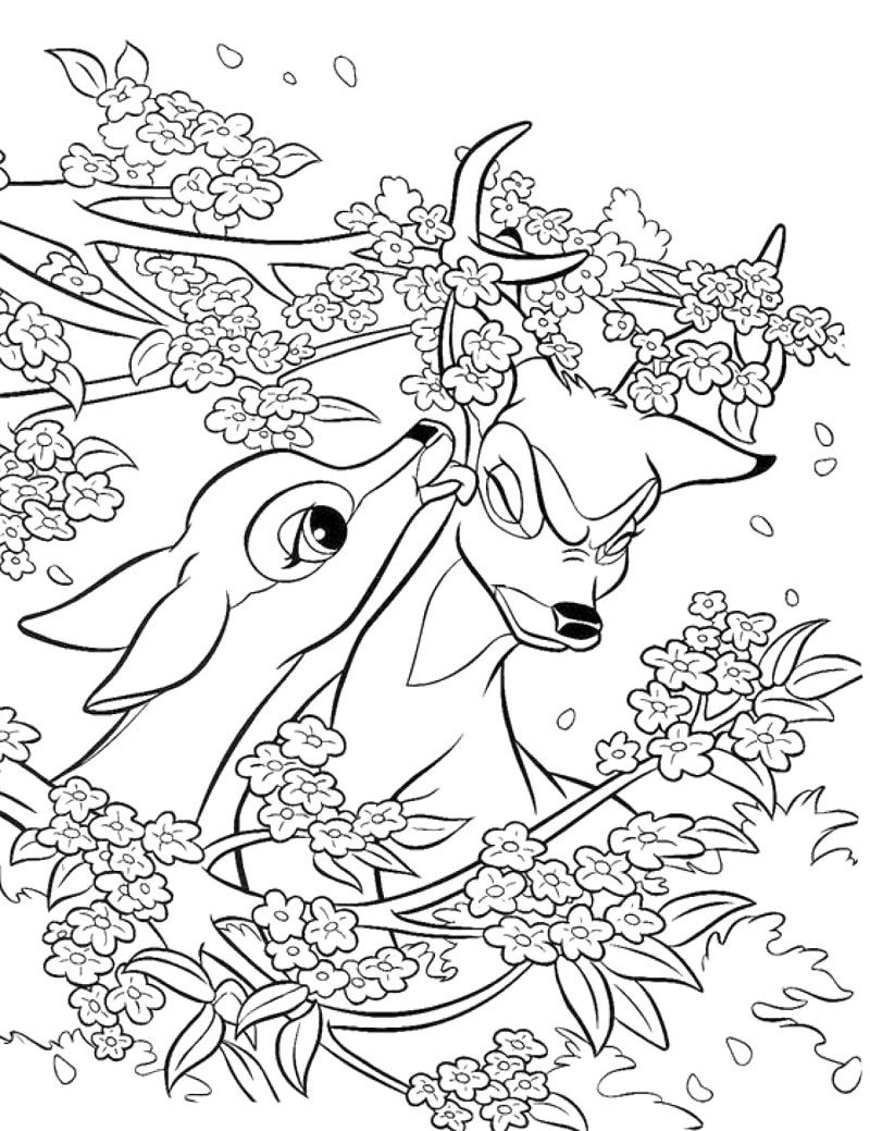 800x1039 Faline And Bambi Coloring Page Disney