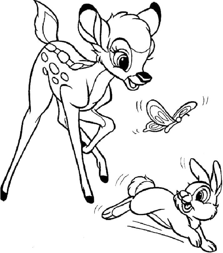 713x808 Bambi Ran With Thumper Chasing Butterfly Coloring Pages Coloring