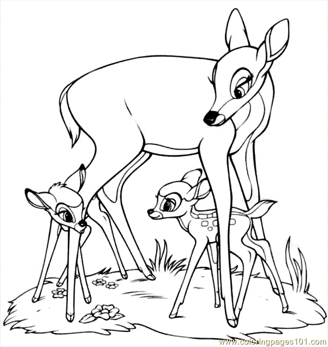 650x686 Bambi Coloring Pages Awesome Free Disney Bambi And Butterfly