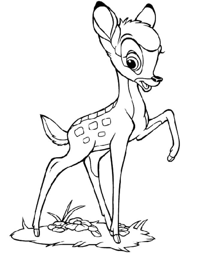 680x842 Bambi Coloring Pages Are Available In Many Kinds Of The Coloring