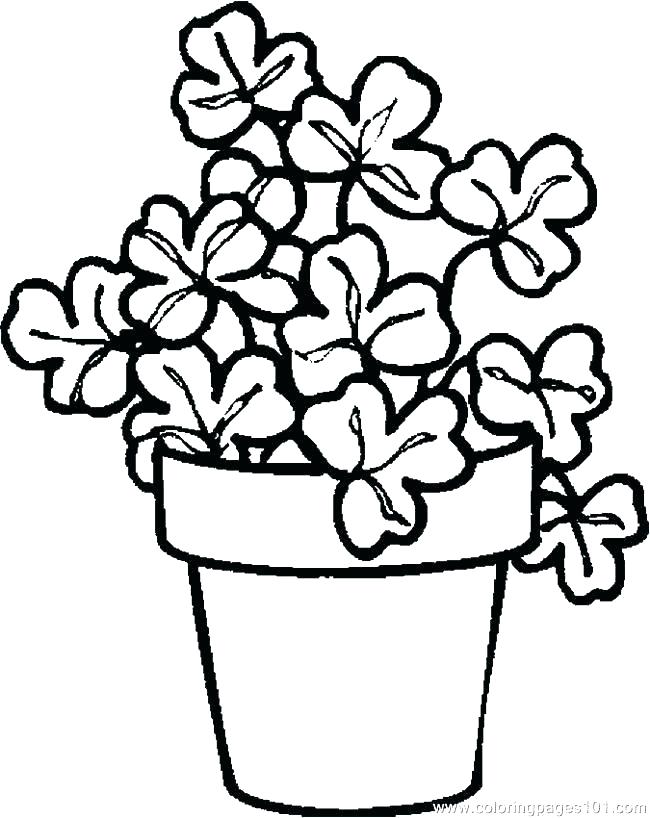 650x818 Coloring Pages Plants Sea Plants Coloring Pages Coloring Pages