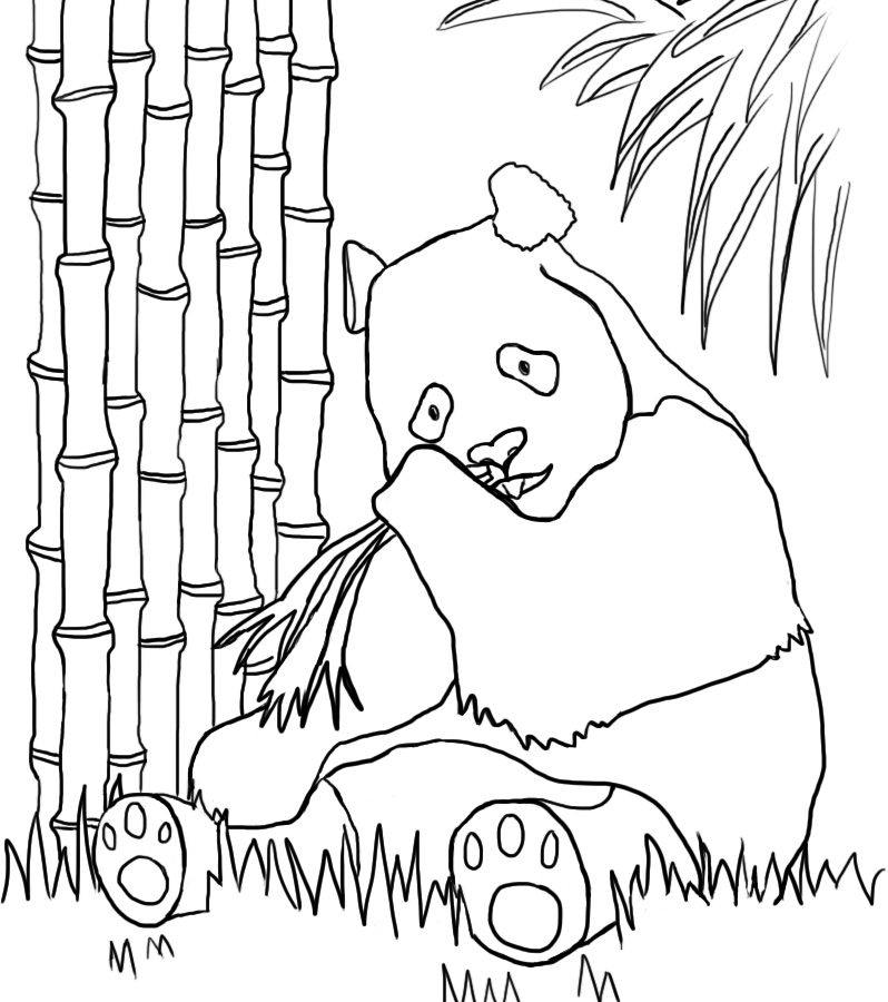 798x900 Baby Pandaar Coloring Pages Printable Cartoon Free