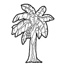 230x230 Coconut Tree Coloring Free Download
