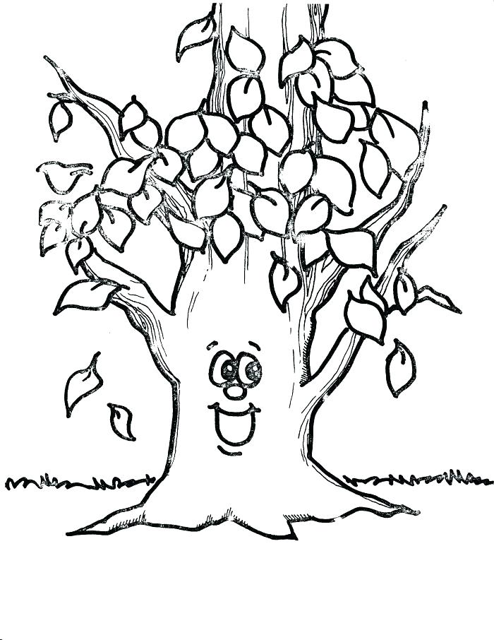 700x906 Printable Tree Coloring Page Free Printable Tree Coloring Pages