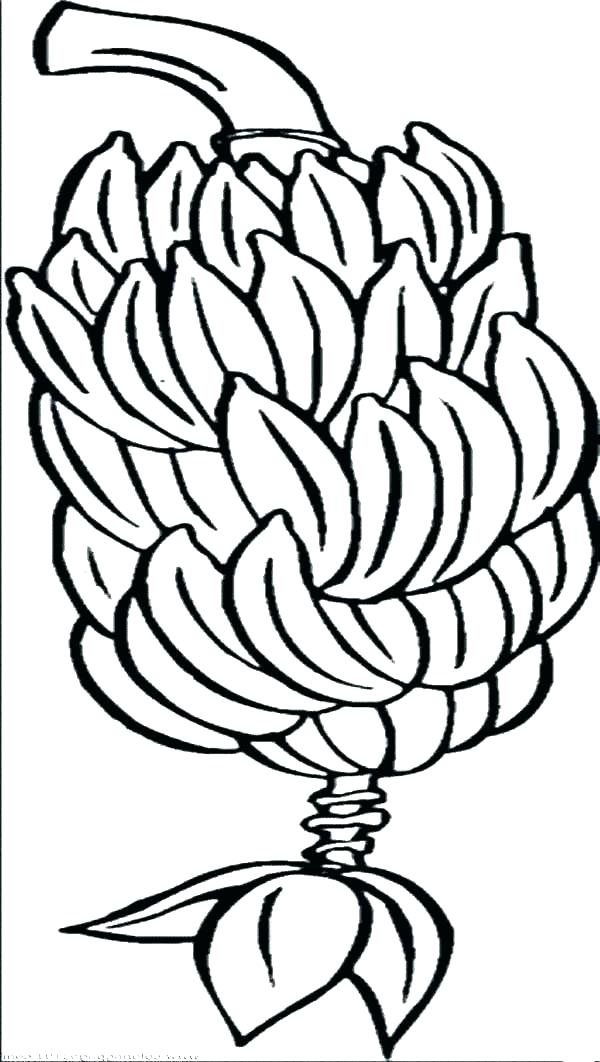 600x1062 Banana Coloring Pages