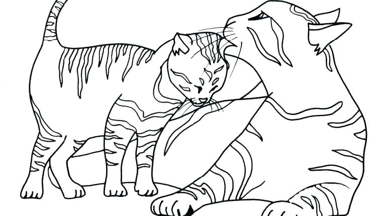 770x430 Baptism Coloring Pages Coloring Page Cat Baby Cat Coloring Pages