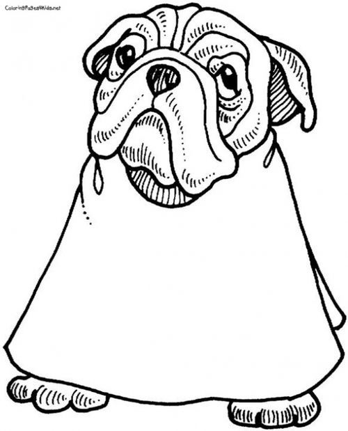 500x619 Funny Bulldog Going To Barber Coloring Page