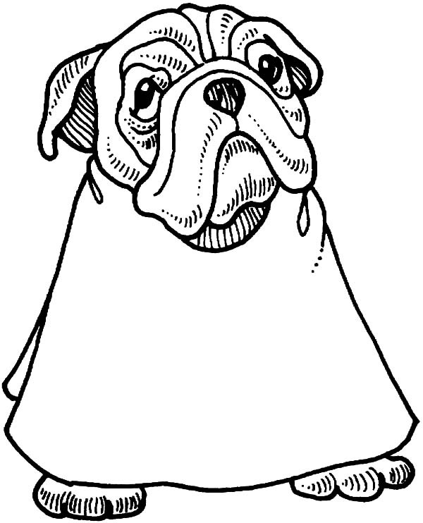 600x742 Bulldog Going To Barbershop Coloring Pages Best Place To Color