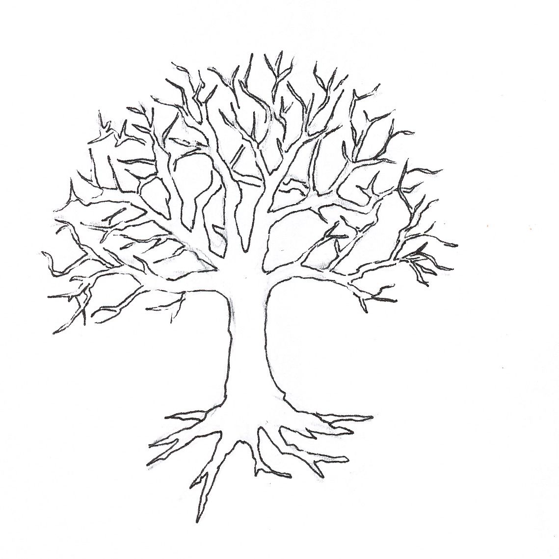 1139x1139 Coloriage Arbre Imprimer Pour Les Enfants