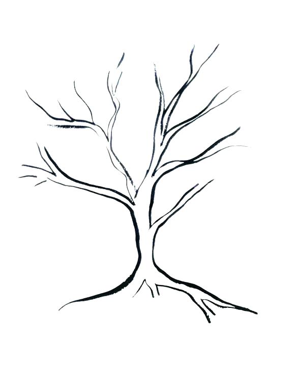 576x765 Outline Tree Good Bare Tree Coloring Page For Tree Pattern Without