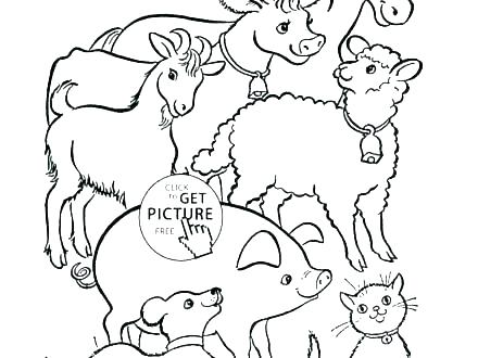 440x330 Free Barn Animals Coloring Pages Cute Farm Animal
