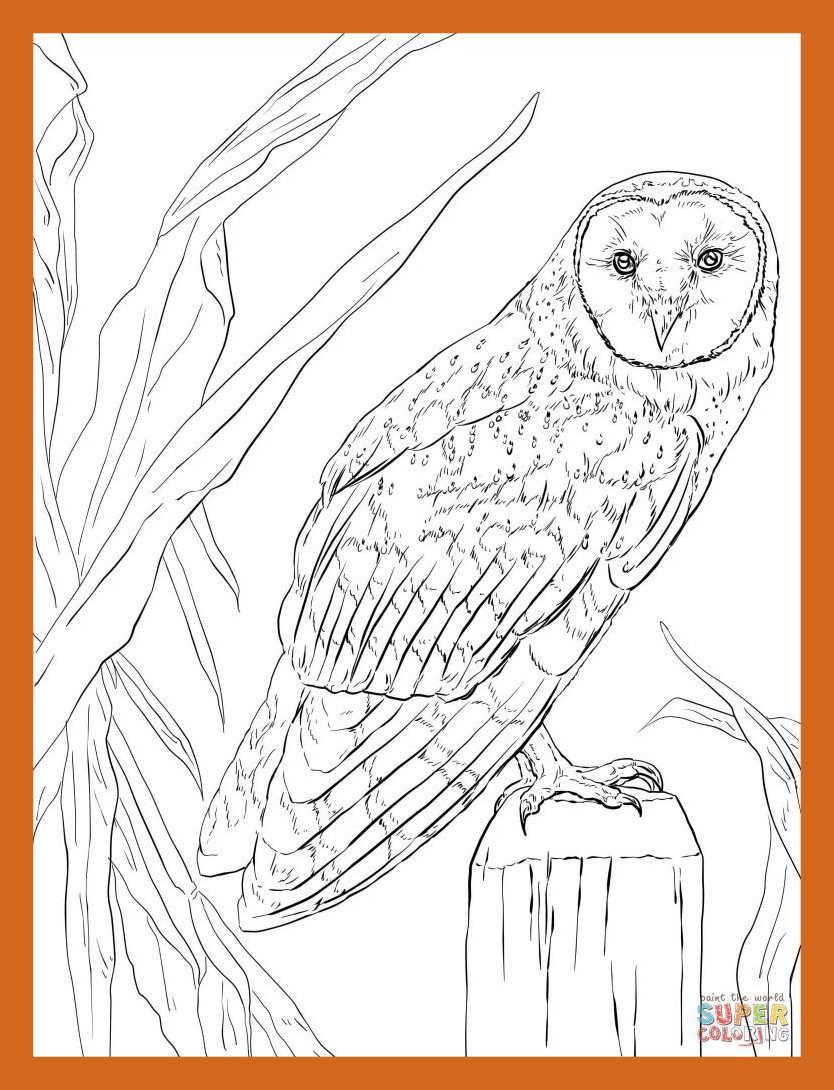 834x1090 Marvelous Coloring Pages Owl Baby For Kids Pict Of Inspiration