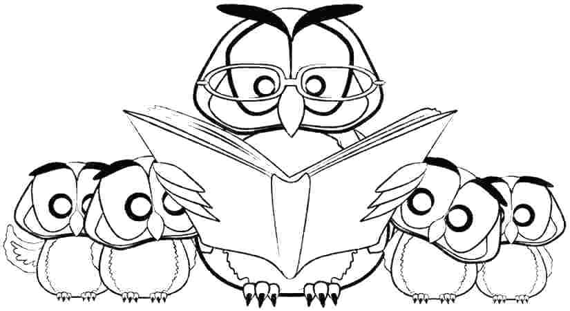 825x450 Coloring Sheets Of Owls Barn Coloring Sheet Barn Owl Coloring Page