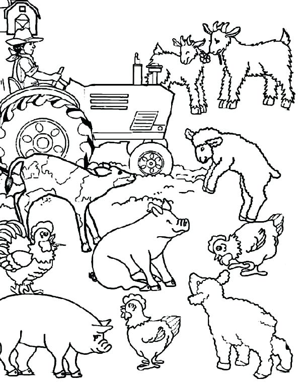 600x776 Farm Animals Coloring Pages Farm Animal Farm Animal Activities