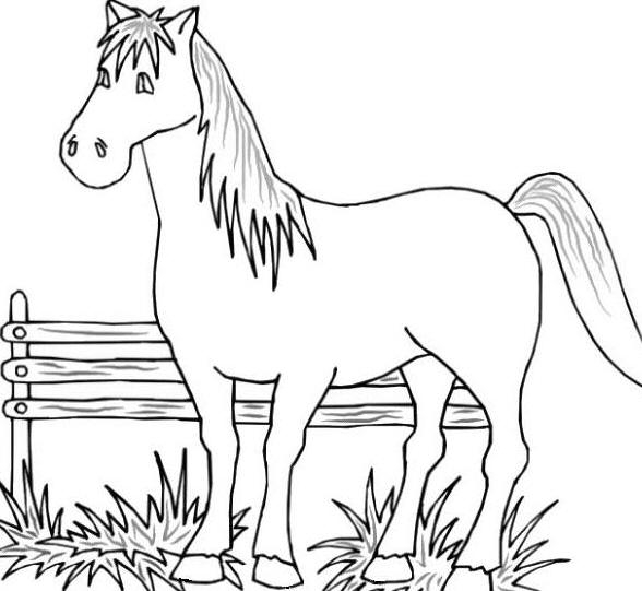 588x541 Lovely Printable Farm Animals Coloring Pages Reviews Diy