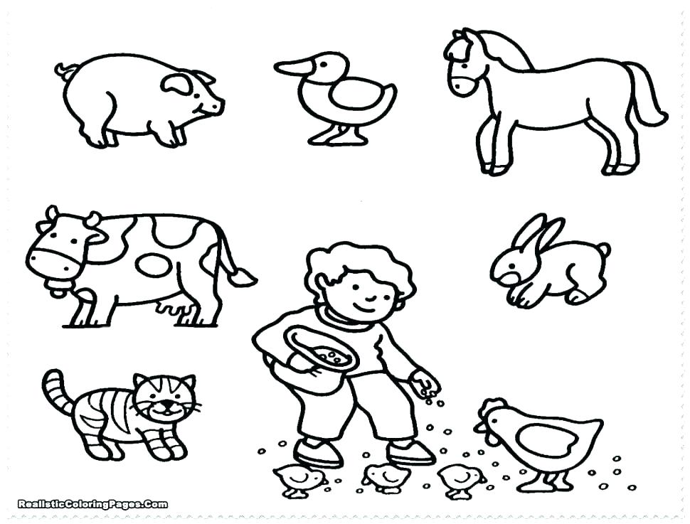 970x737 Farm Animal Pictures To Color