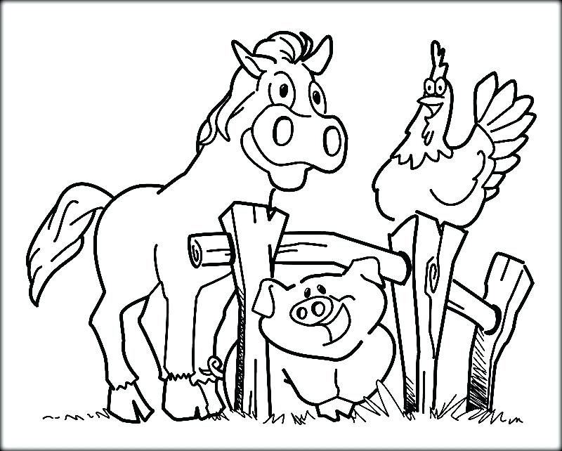 800x642 Barnyard Animals Good Farm Animals Coloring Pages