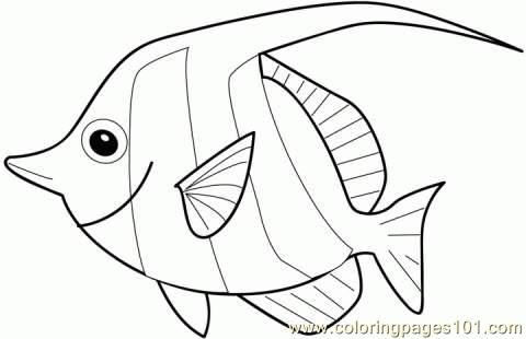 480x310 Fish Coloring Page Coloring Page