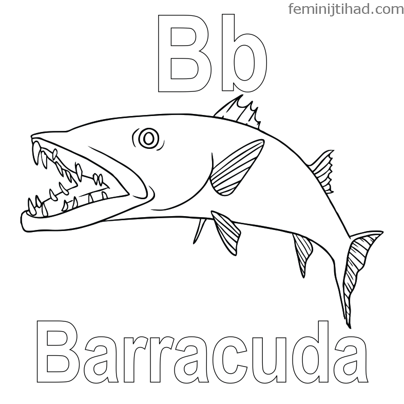 787x787 Printable Barracuda Coloring Pages Coloring Pages For Kids