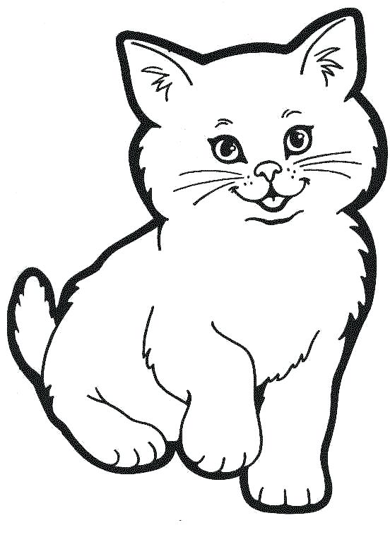 552x761 Unique Cat Coloring Pages For Kids And Barracuda Coloring Pages